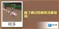 疯狂动物园兔兔鳄怎么抓 兔兔鳄属性图鉴