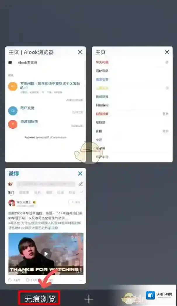 Alook浏览器隐私模式