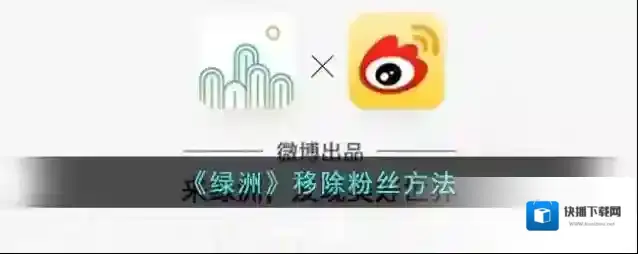 新浪绿洲粉丝