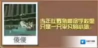 疯狂动物园宅男猪怎么得 宅男猪属性图鉴