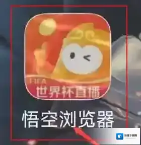 悟空浏览器浏览器