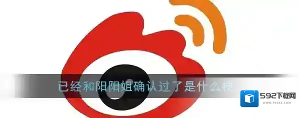 已经和阳阳姐确认过了是什么梗