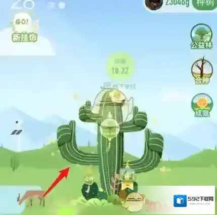 支付宝仙人掌