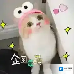 永恒情缘阵营