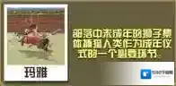 疯狂动物园马赛狮怎么抓 马赛狮属性图鉴