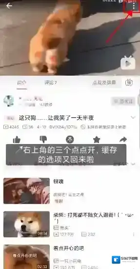 哔哩哔哩下载