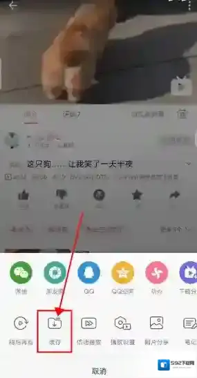 哔哩哔哩点击打开