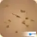 迷你世界合成表