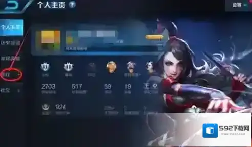 王者荣耀查看
