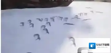 刺激战场雪地地图脚印怎么隐藏 雪地地图隐藏脚印的方法介绍
