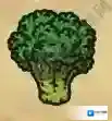 黑暗料理王西兰花图鉴 西兰花出处怪物及食材菜谱配方